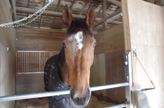 f:id:rockeyhy:20120109182936j:image:w280