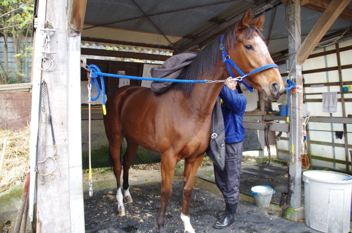 f:id:rockeyhy:20120109183913j:image:w280