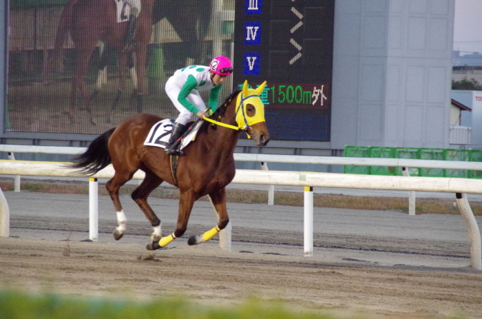 f:id:rockeyhy:20120122004403j:image:w280