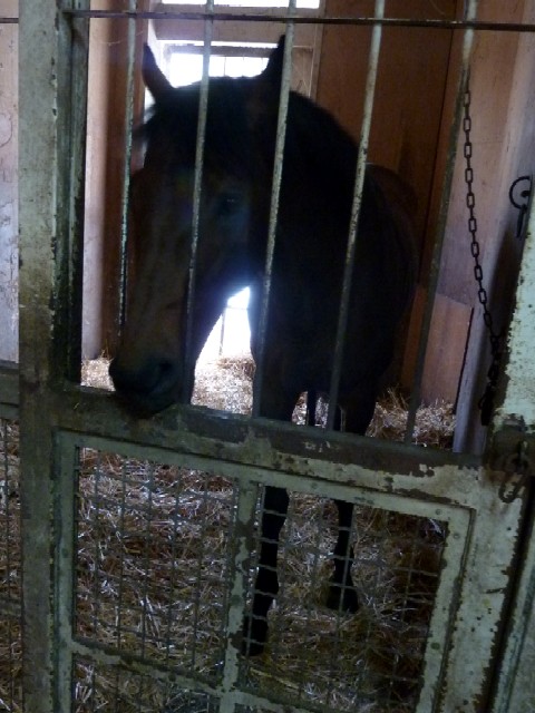 f:id:rockeyhy:20130616175438j:image:w360