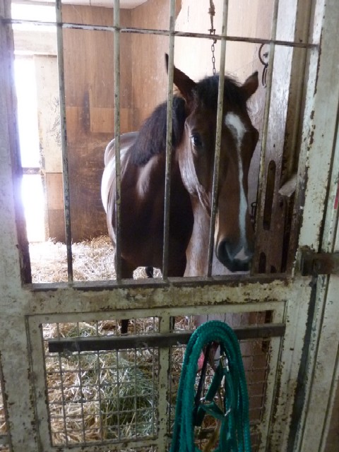 f:id:rockeyhy:20130616175441j:image:w360