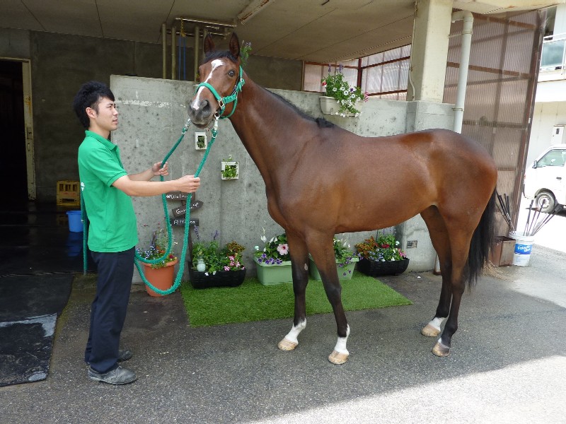 f:id:rockeyhy:20130616175444j:image:w360