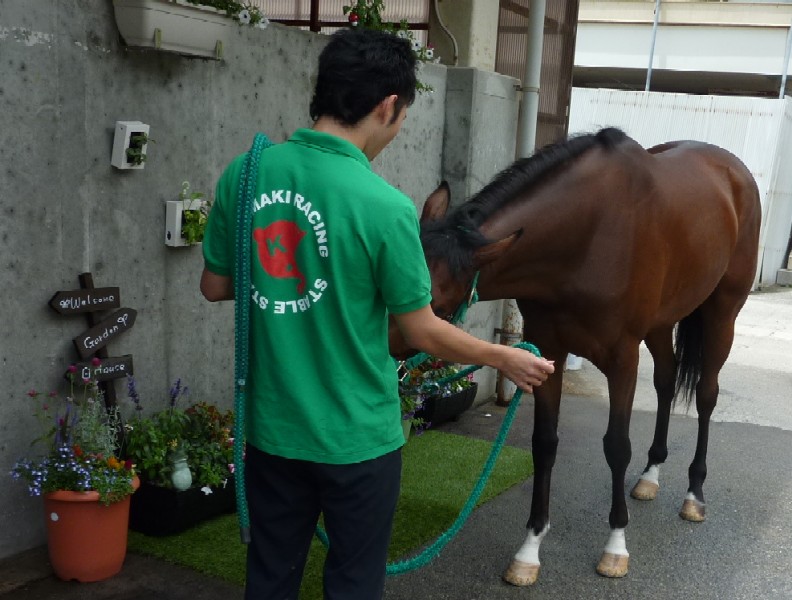 f:id:rockeyhy:20130616175553j:image:w360