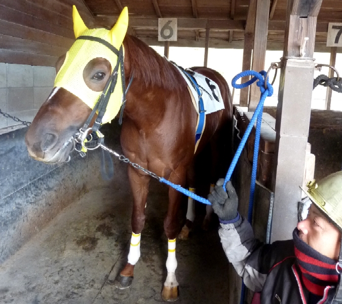 f:id:rockeyhy:20131231175133j:image:w360