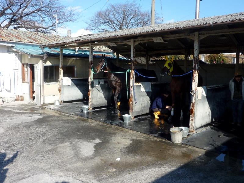 f:id:rockeyhy:20131231175208j:image:w360