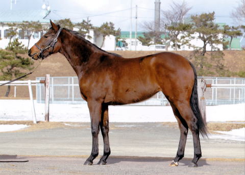 f:id:rockeyhy:20140424000257j:image:w360