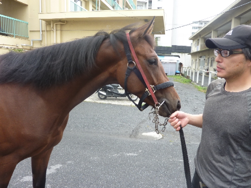 f:id:rockeyhy:20140612233824j:image:w280