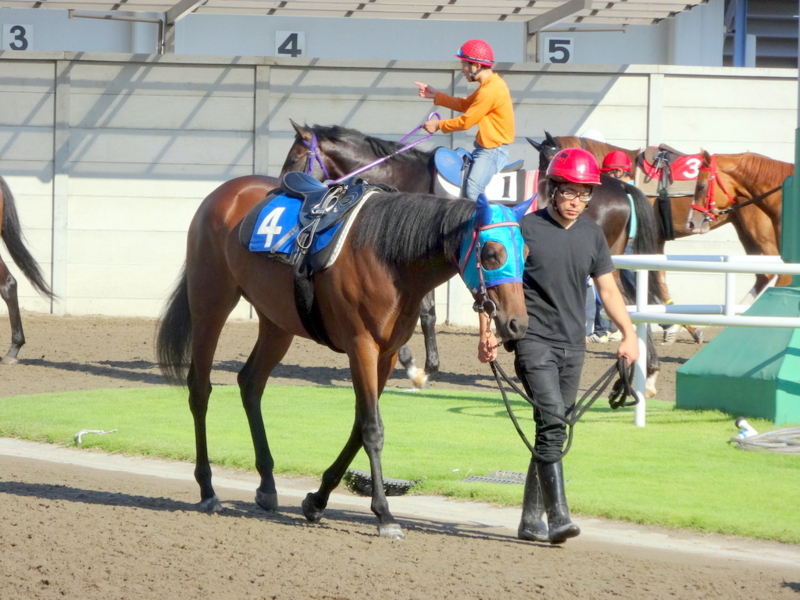 f:id:rockeyhy:20140613072420j:image:w280