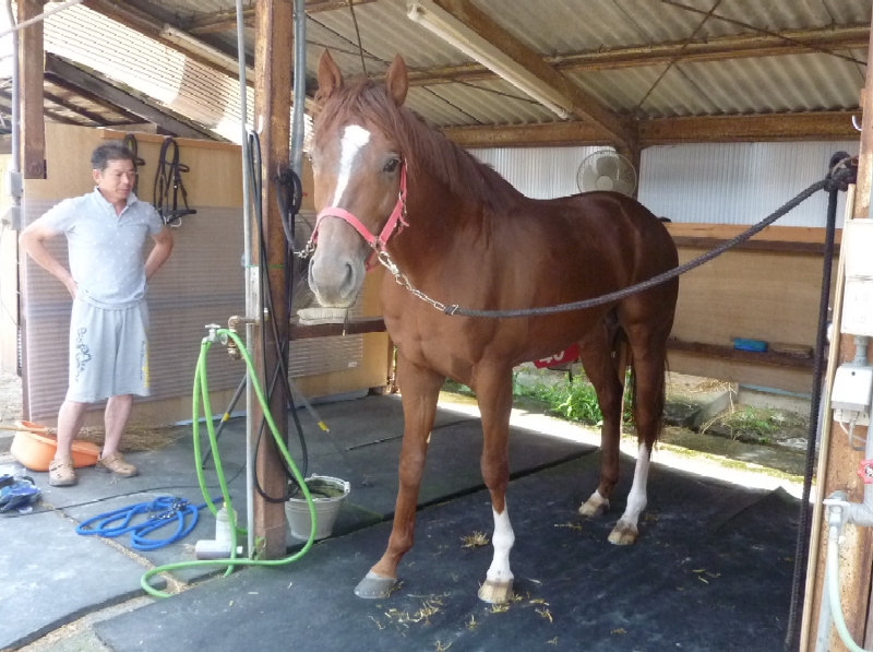 f:id:rockeyhy:20140615163416j:image:w360