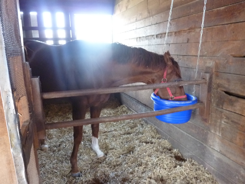 f:id:rockeyhy:20140615163418j:image:w360