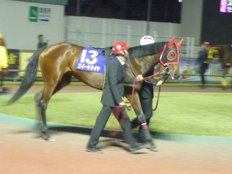 f:id:rockeyhy:20141105202653j:image:w280