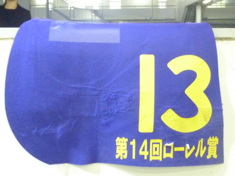 競馬Goods紹介9（ゼッケン Part.3：所有馬ゼッケン） - 新