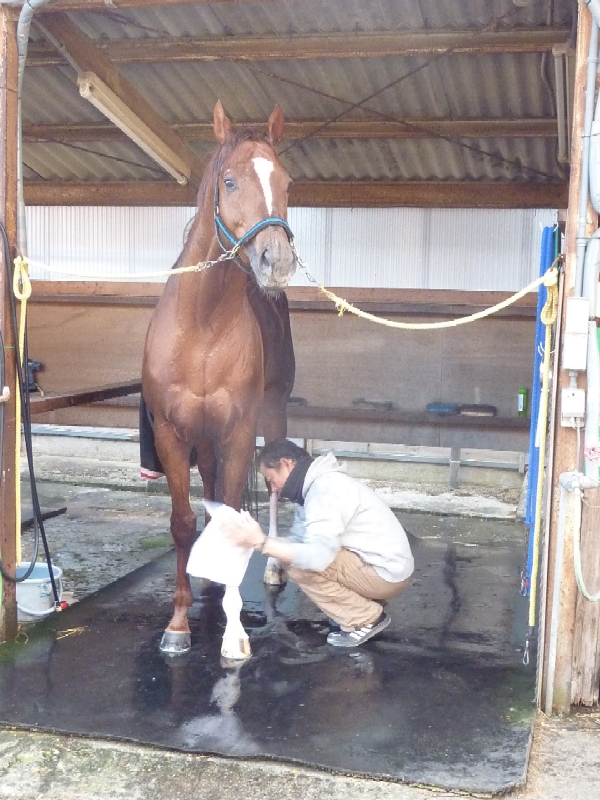 f:id:rockeyhy:20151230004443j:image:w192