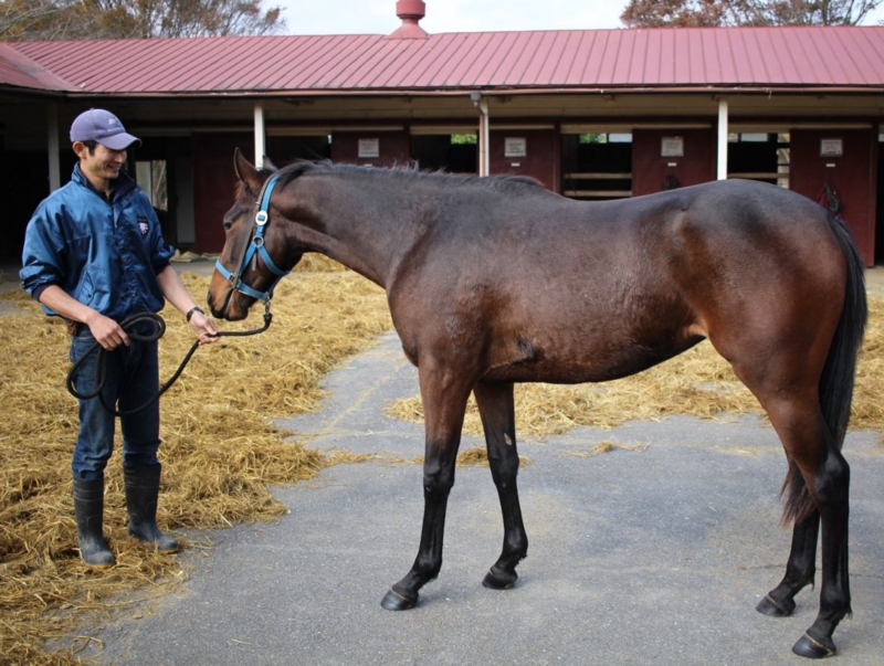 f:id:rockeyhy:20160116121412j:image:w280