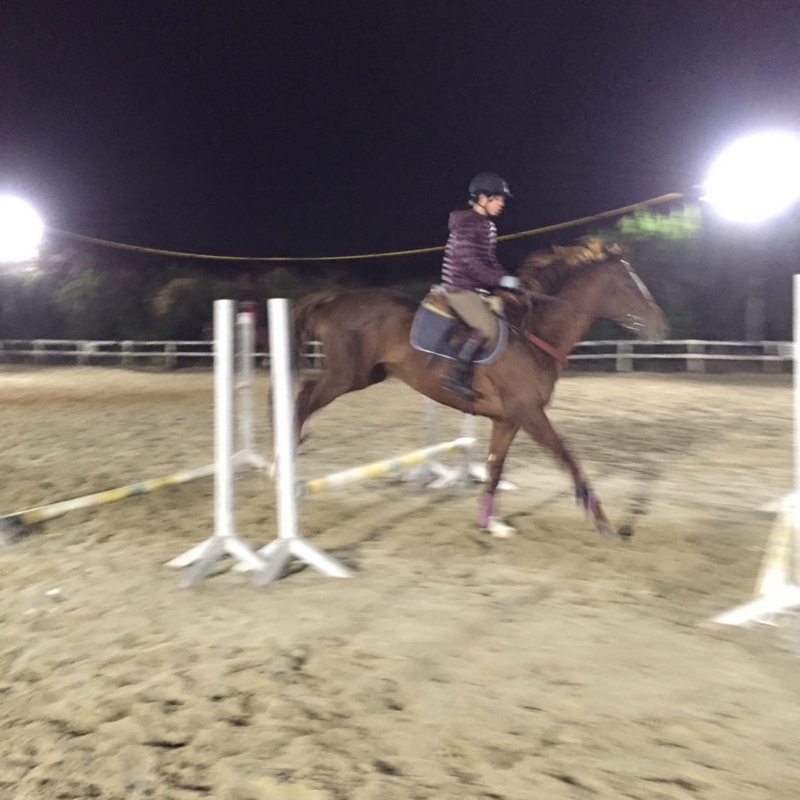 f:id:rockeyhy:20160220234538j:image:w260