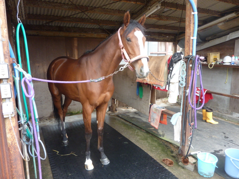 f:id:rockeyhy:20160403081039j:image:w280