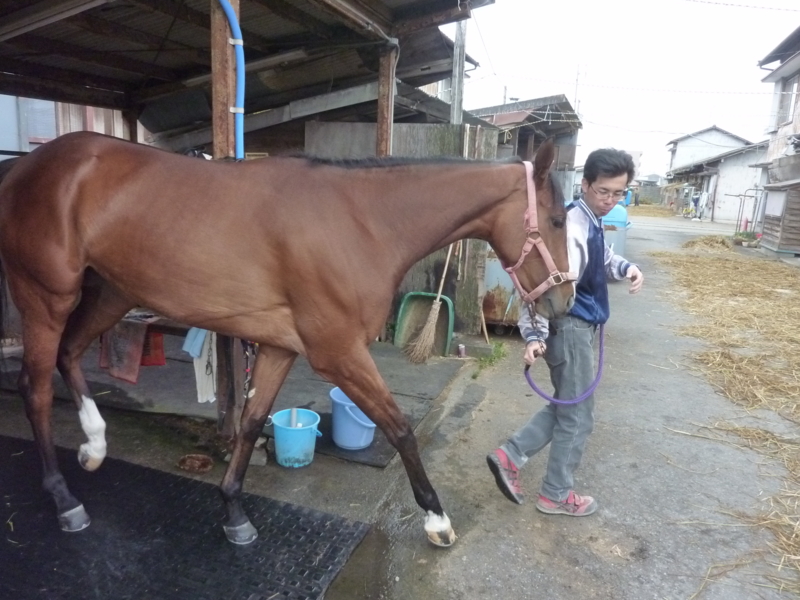 f:id:rockeyhy:20160403083020j:image:w280