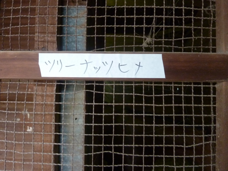 f:id:rockeyhy:20160403083106j:image:w280