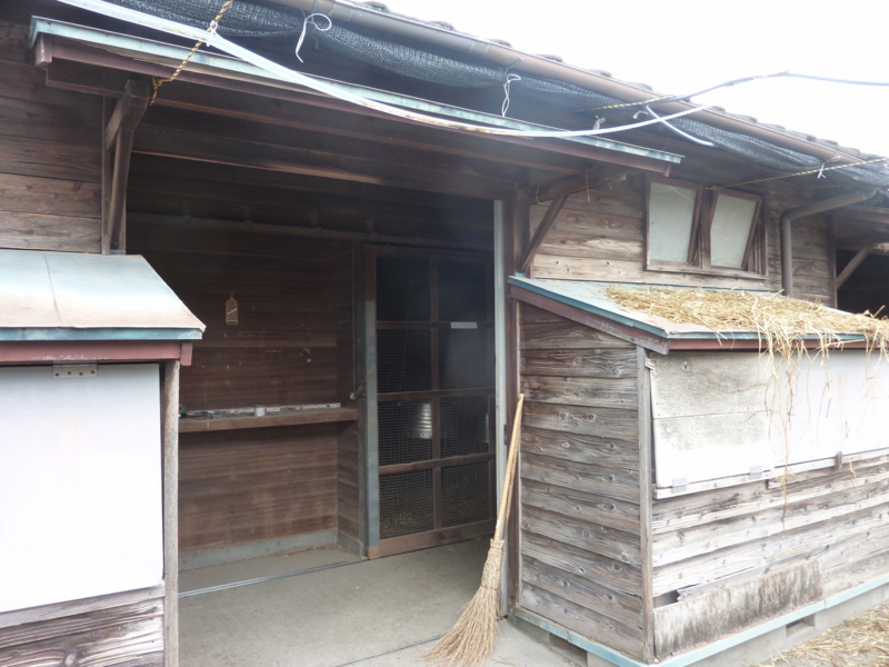 f:id:rockeyhy:20160403083312j:image:w280