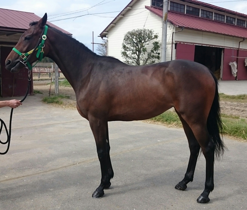 f:id:rockeyhy:20160413172623j:image:w250