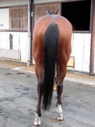 f:id:rockeyhy:20160514003557j:image:w180