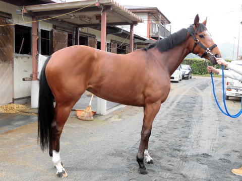 f:id:rockeyhy:20160514003558j:image:w320