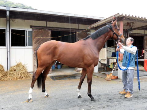 f:id:rockeyhy:20160514003559j:image:w320