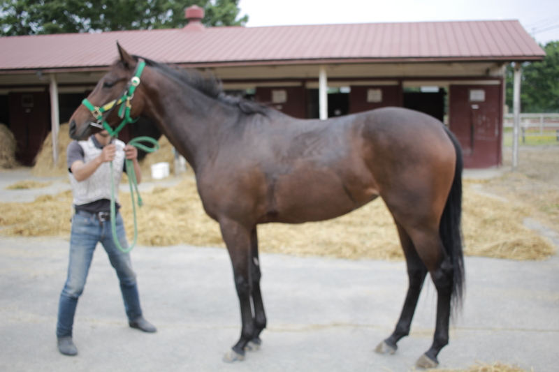 f:id:rockeyhy:20160514101229j:image:w320