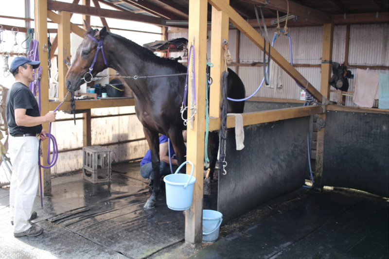 f:id:rockeyhy:20160702213519j:image:w320