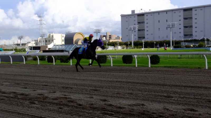 f:id:rockeyhy:20160824154528j:image:w280