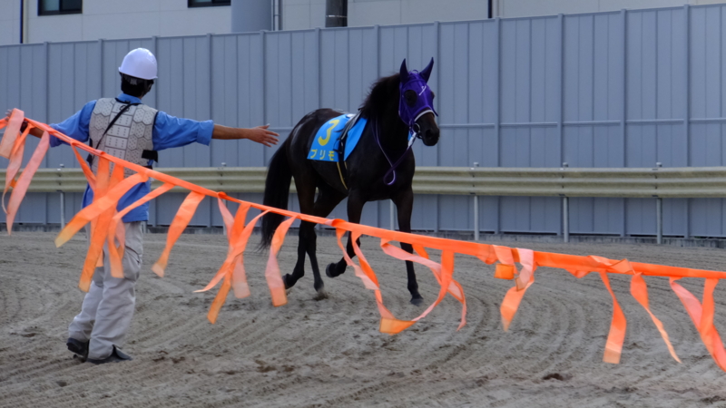 f:id:rockeyhy:20160824154834j:image:w280