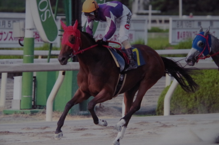 f:id:rockeyhy:20160829083010j:image:w280