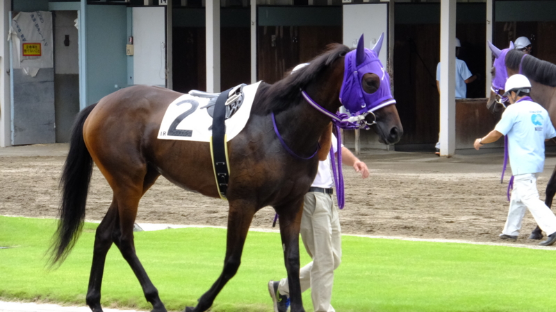 f:id:rockeyhy:20160912144303j:image:w280