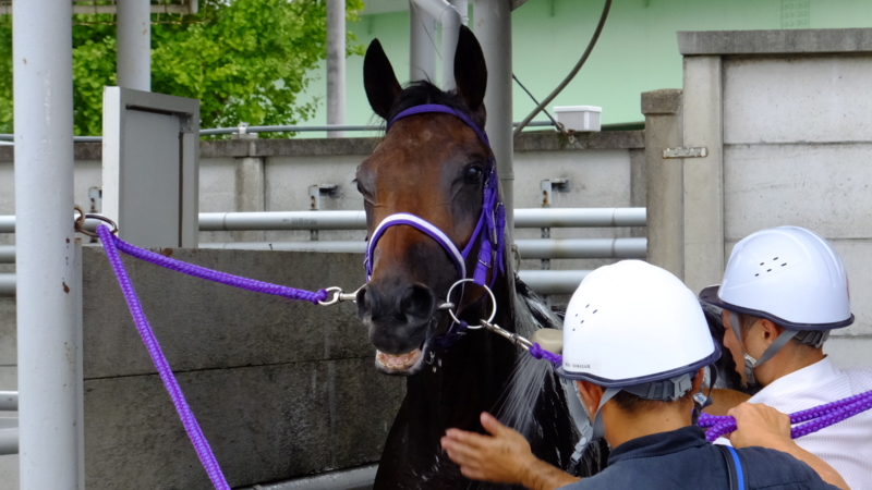 f:id:rockeyhy:20160912154425j:image:w280