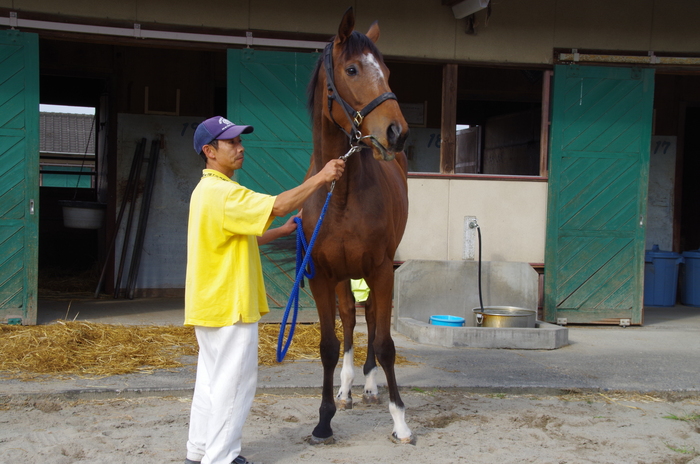 f:id:rockeyhy:20161008144333j:image:w280