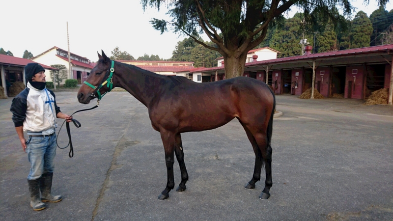 f:id:rockeyhy:20161123224412j:image:w300