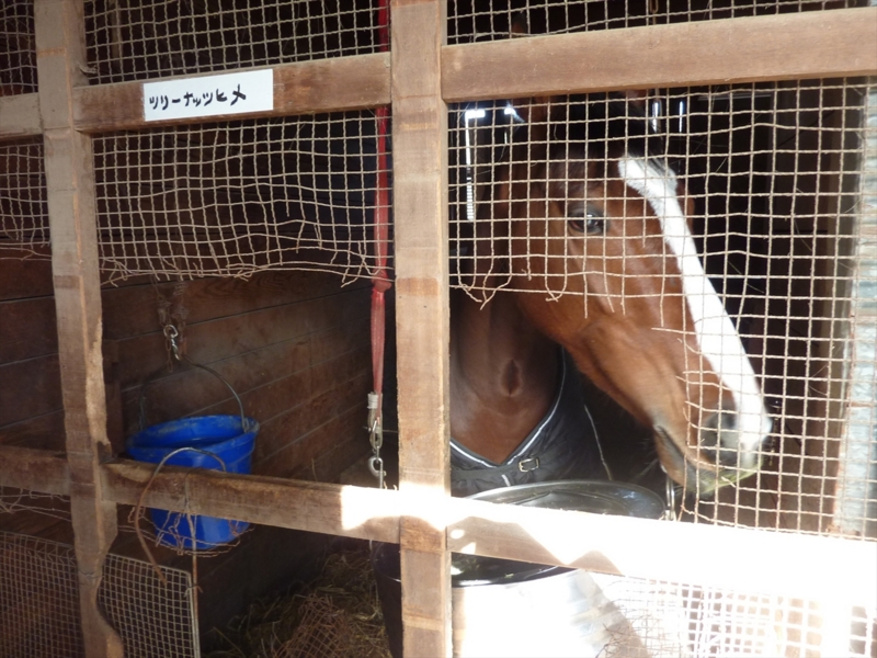 f:id:rockeyhy:20161229102704j:image:w280