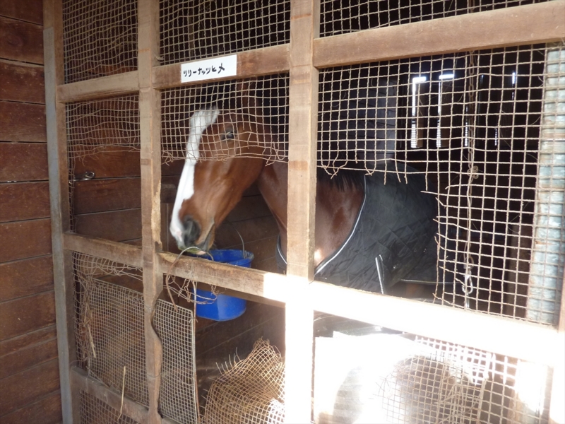 f:id:rockeyhy:20161229102930j:image:w280