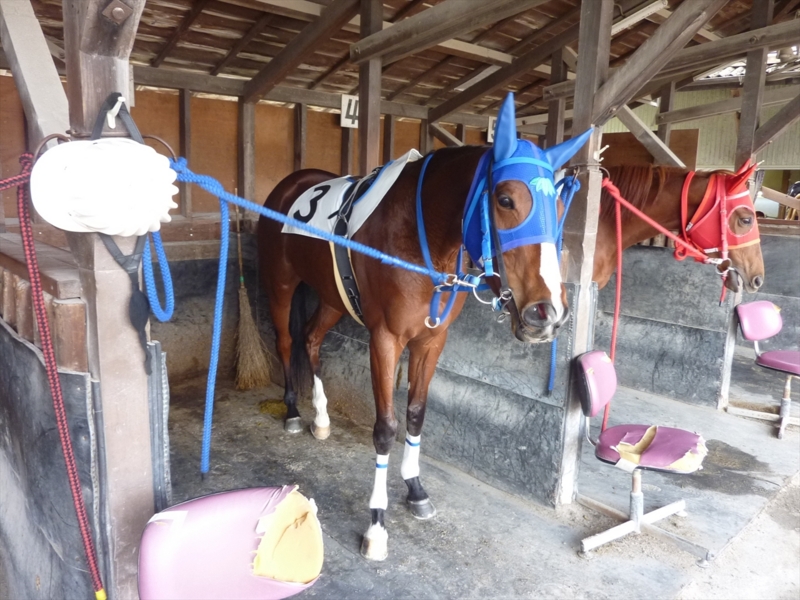 f:id:rockeyhy:20161229131437j:image:w320