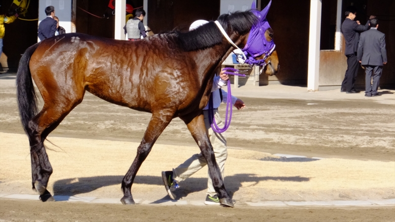 f:id:rockeyhy:20170130110505j:image:w280