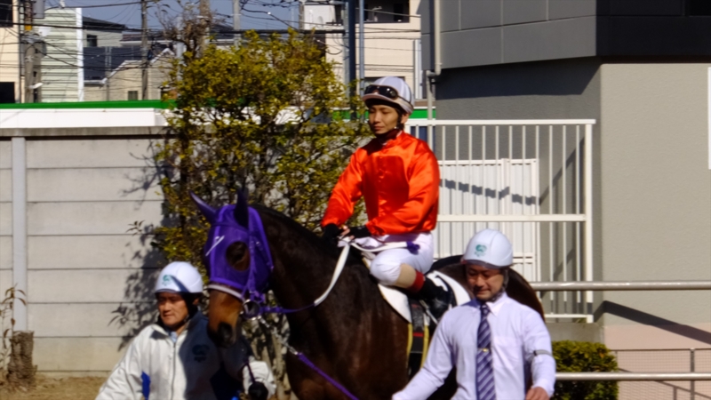 f:id:rockeyhy:20170130114542j:image:w280