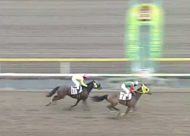 f:id:rockeyhy:20170209222155j:image:w268