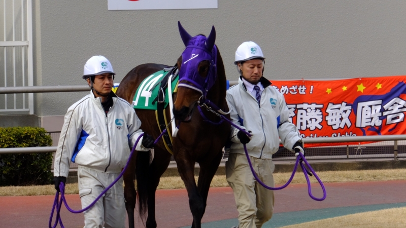 f:id:rockeyhy:20170301151547j:image:w280