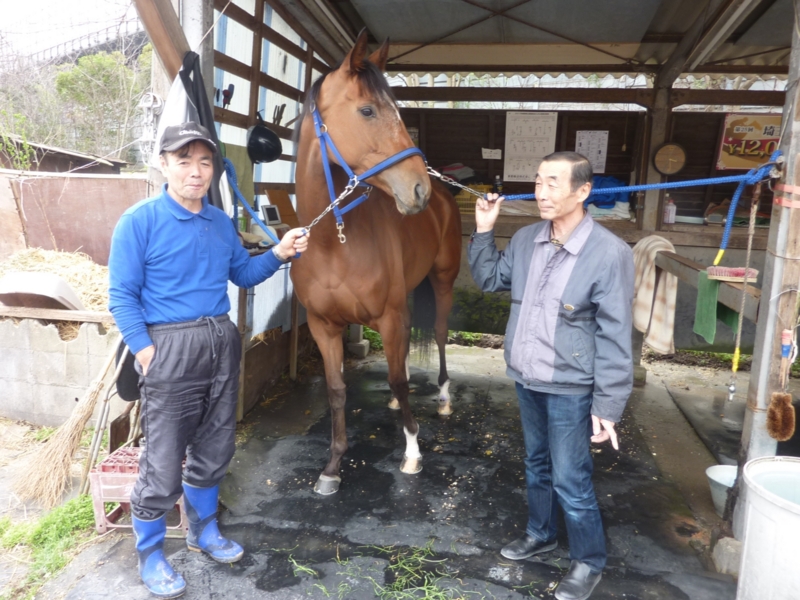 f:id:rockeyhy:20170323101525j:image:w280