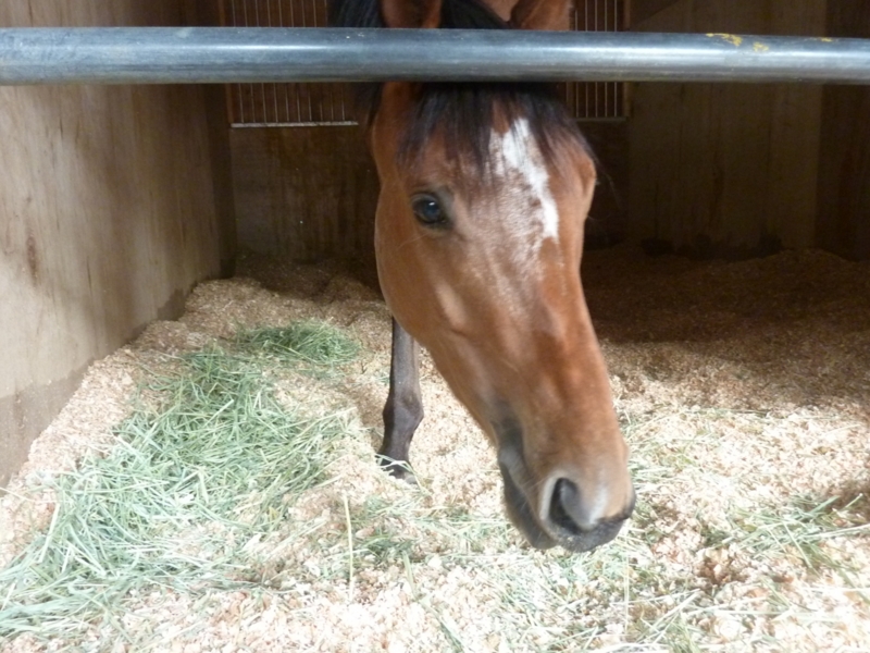 f:id:rockeyhy:20170323103433j:image:w280