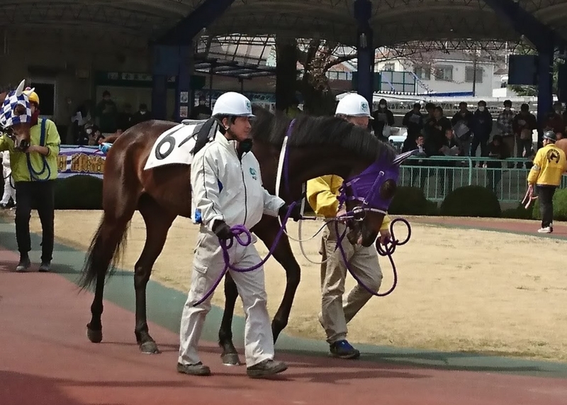 f:id:rockeyhy:20170329222112j:image:w280