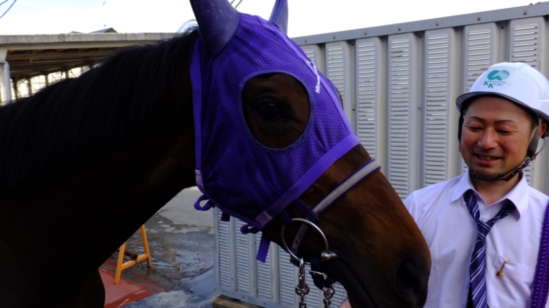 f:id:rockeyhy:20170427145056j:image:w280