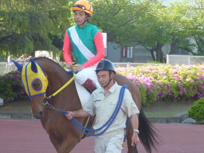 f:id:rockeyhy:20170505171206j:image:w280