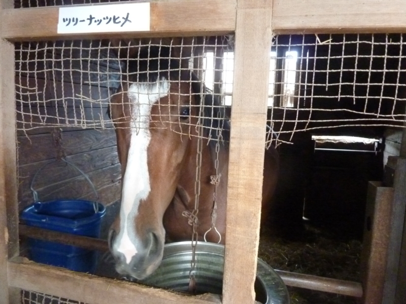 f:id:rockeyhy:20170516072254j:image:w280