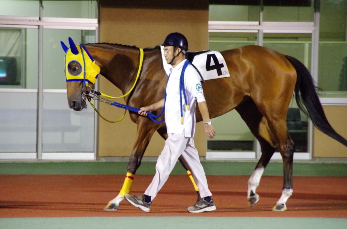 f:id:rockeyhy:20170721202200j:image:w280 f:id:rockeyhy:20170721202200j:image:w280